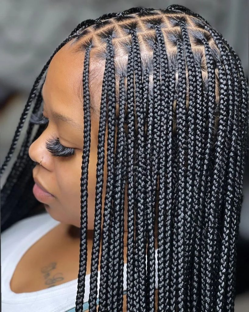 2023 Braid Hairstyles for Black Women 5