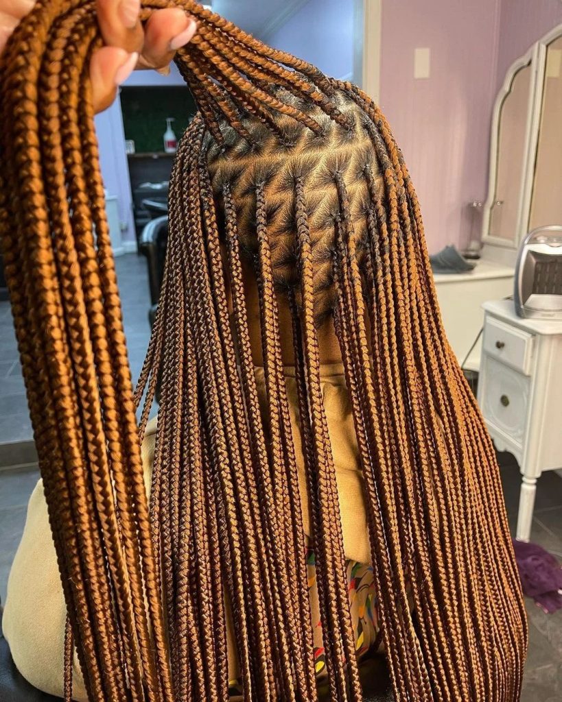 New Knotless Braids Styles 2023 for Ladies 3