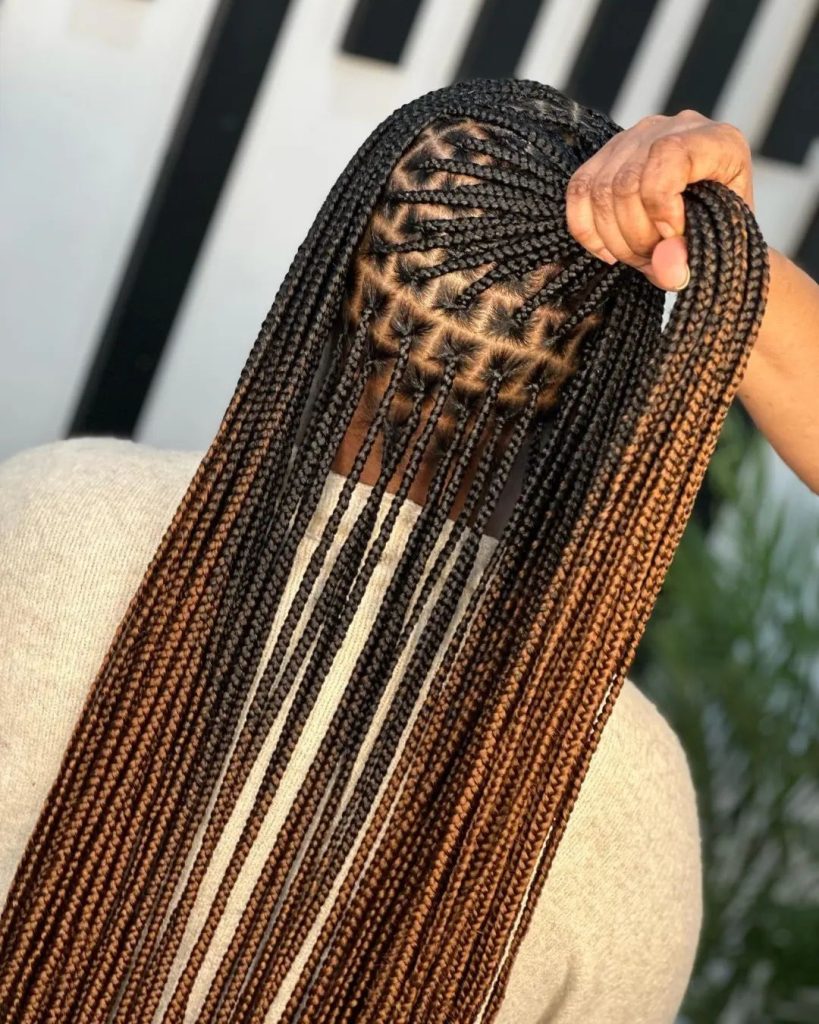 New Knotless Braids Styles 2023 for Ladies 5