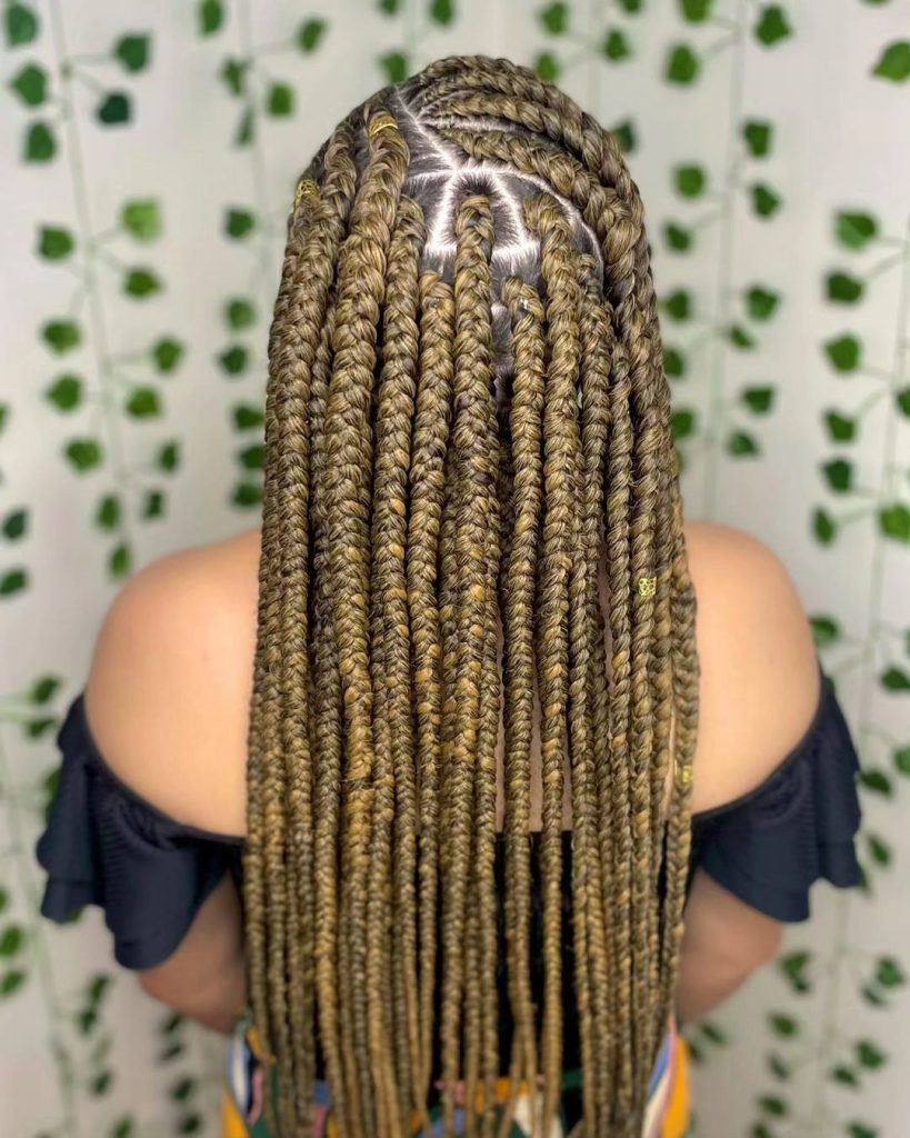 2023 Most Recent And Big Box Braids Hairstyles For Ladies 4
