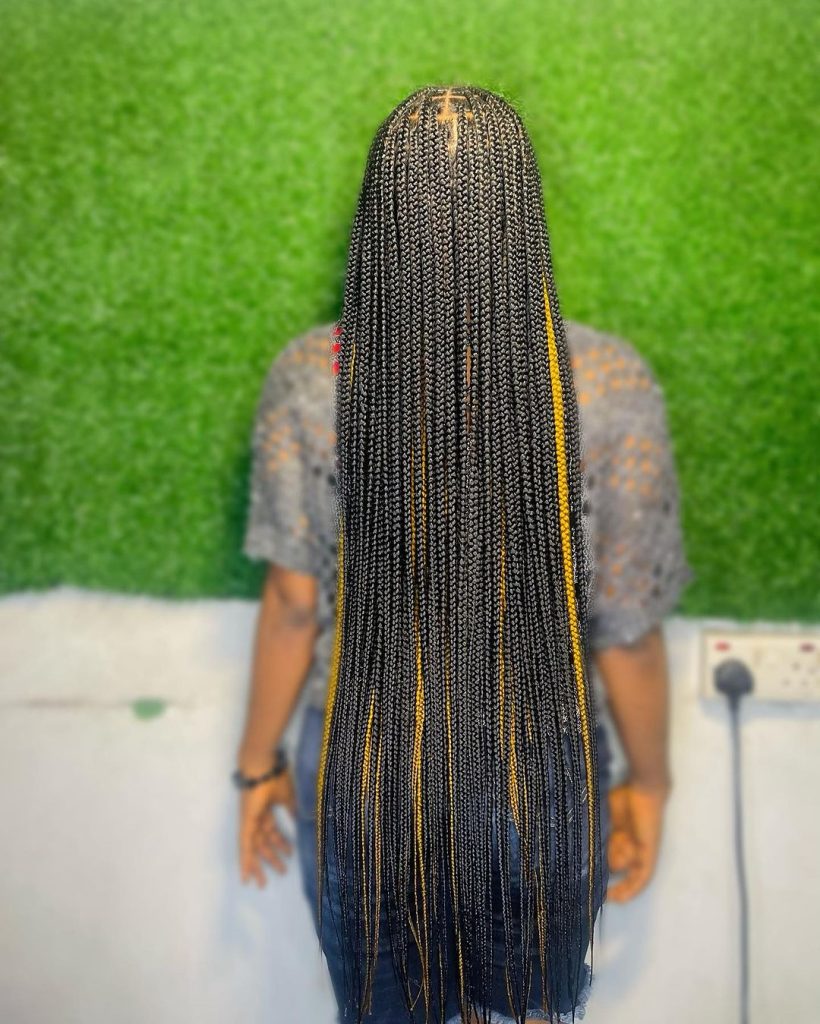Unique And Long Braided Hairstyles For Ladies 2023 1
