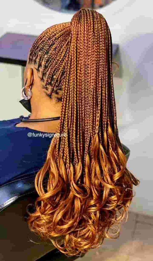 New Braids Hairstyles 2024 To Try Next 4